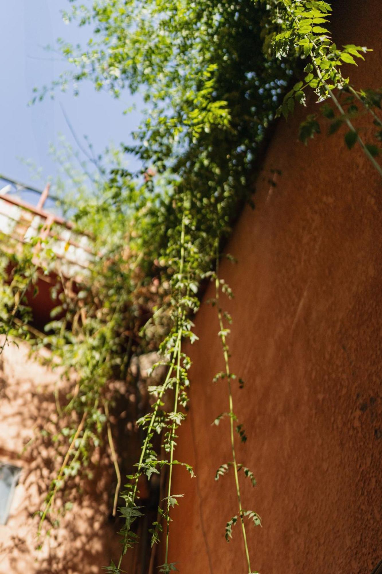 Riad Senja Marrakesh Exterior foto